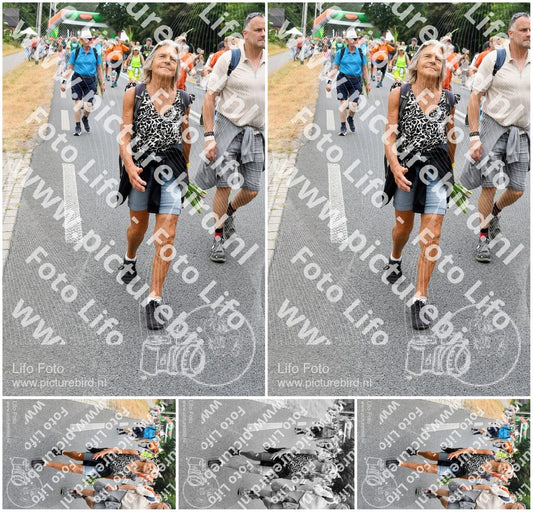 Evenement foto: Nijmeegse Vierdaagse 716