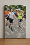 Evenement foto: Nijmeegse Vierdaagse 716