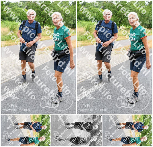 Evenement foto: Nijmeegse Vierdaagse 715