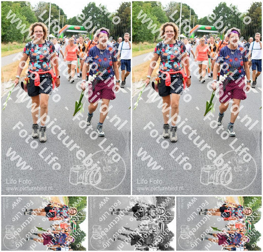 Evenement foto: Nijmeegse Vierdaagse 715