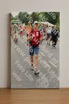 Evenement foto: Nijmeegse Vierdaagse 715