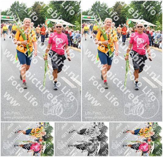 Evenement foto: Nijmeegse Vierdaagse 715