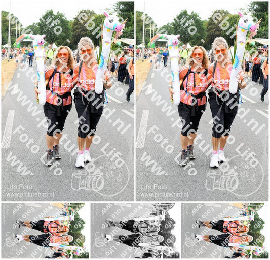 Evenement foto: Nijmeegse Vierdaagse 715