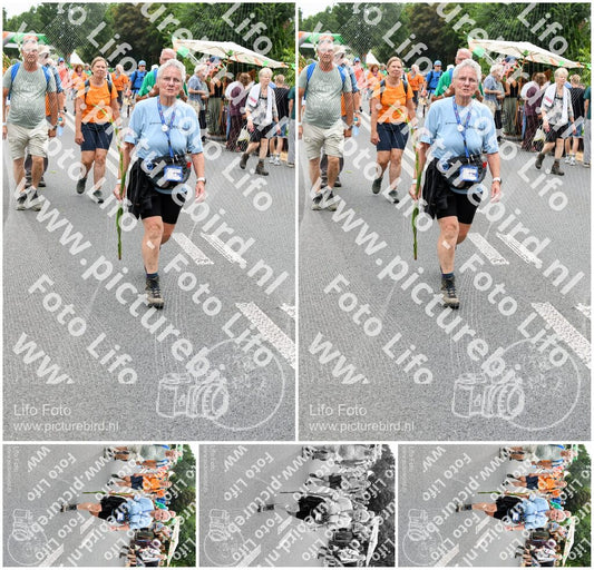 Evenement foto: Nijmeegse Vierdaagse 715