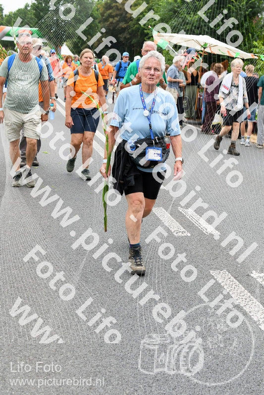 Evenement foto: Nijmeegse Vierdaagse 715