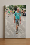 Evenement foto: Nijmeegse Vierdaagse 715