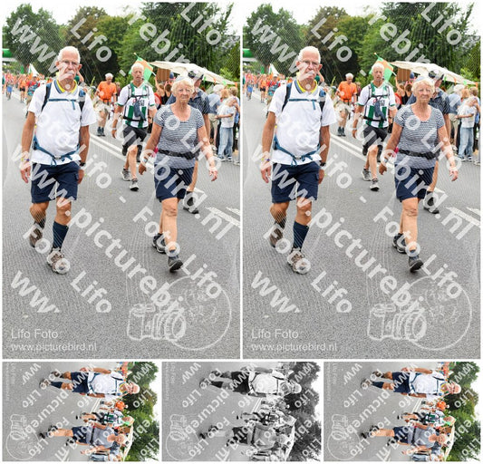 Evenement foto: Nijmeegse Vierdaagse 715