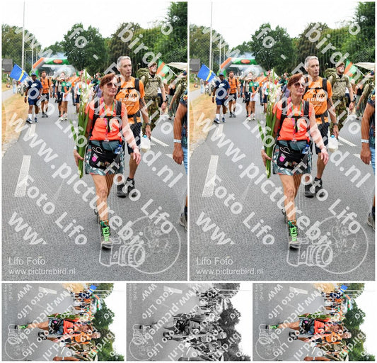Evenement foto: Nijmeegse Vierdaagse 715