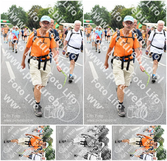 Evenement foto: Nijmeegse Vierdaagse 715