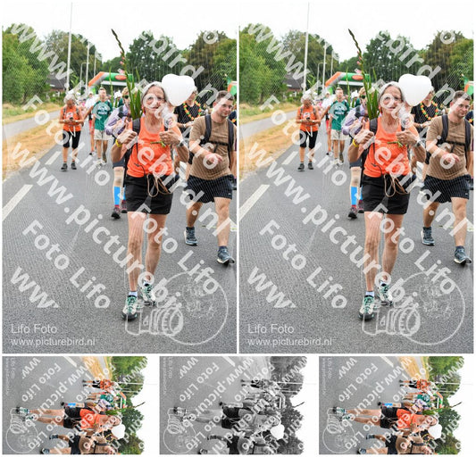 Evenement foto: Nijmeegse Vierdaagse 714