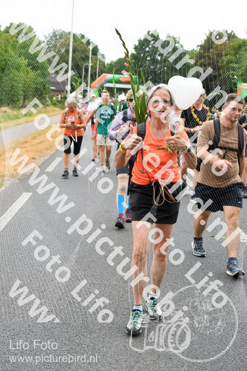 Evenement foto: Nijmeegse Vierdaagse 714