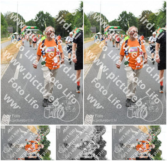 Evenement foto: Nijmeegse Vierdaagse 714