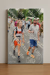 Evenement foto: Nijmeegse Vierdaagse 714