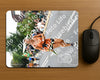 Evenement foto: Nijmeegse Vierdaagse 714
