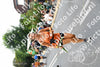 Evenement foto: Nijmeegse Vierdaagse 714