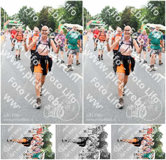 Evenement foto: Nijmeegse Vierdaagse 714