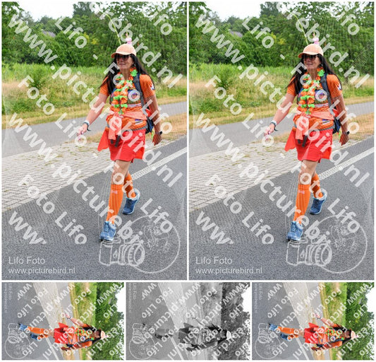 Evenement foto: Nijmeegse Vierdaagse 714