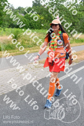 Evenement foto: Nijmeegse Vierdaagse 714