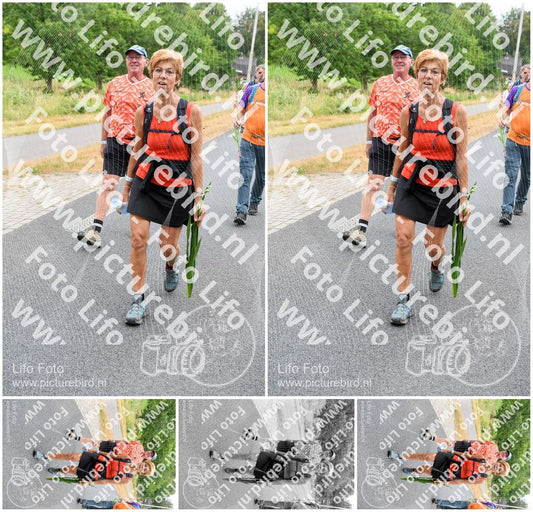 Evenement foto: Nijmeegse Vierdaagse 714