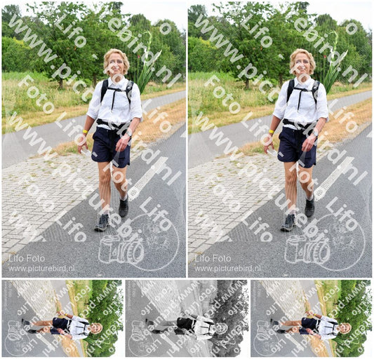Evenement foto: Nijmeegse Vierdaagse 714