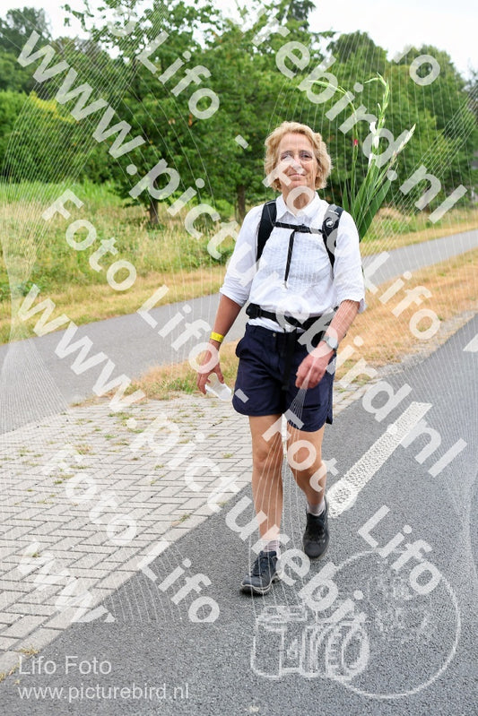 Evenement foto: Nijmeegse Vierdaagse 714