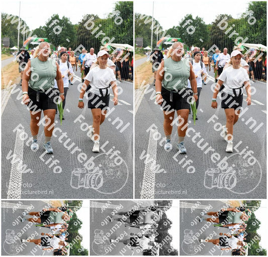 Evenement foto: Nijmeegse Vierdaagse 714