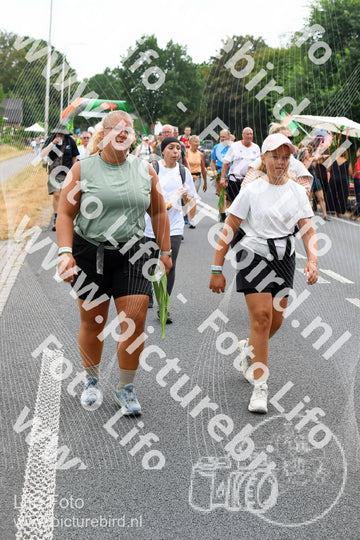 Evenement foto: Nijmeegse Vierdaagse 714