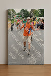 Evenement foto: Nijmeegse Vierdaagse 714