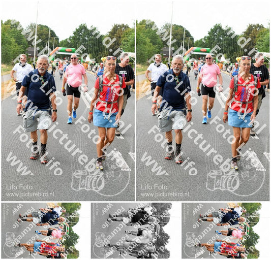 Evenement foto: Nijmeegse Vierdaagse 713