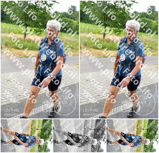 Evenement foto: Nijmeegse Vierdaagse 713