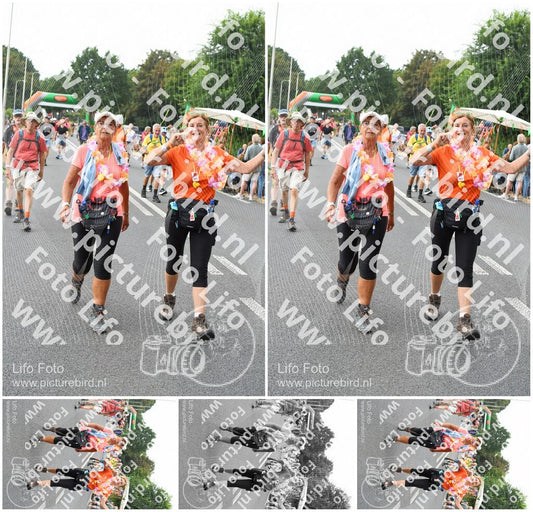 Evenement foto: Nijmeegse Vierdaagse 713