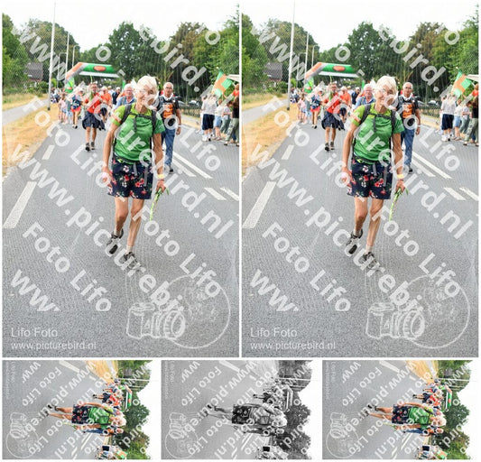 Evenement foto: Nijmeegse Vierdaagse 713
