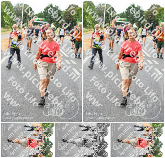 Evenement foto: Nijmeegse Vierdaagse 713