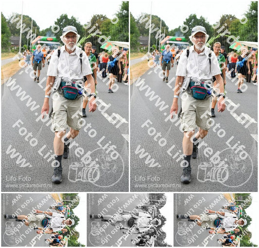 Evenement foto: Nijmeegse Vierdaagse 713