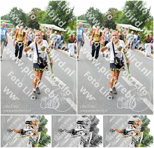 Evenement foto: Nijmeegse Vierdaagse 713