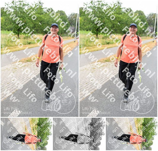 Evenement foto: Nijmeegse Vierdaagse 713