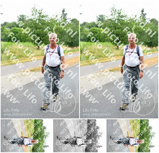 Evenement foto: Nijmeegse Vierdaagse 713