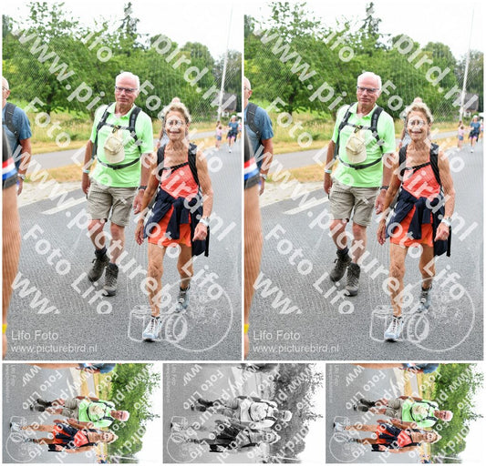 Evenement foto: Nijmeegse Vierdaagse 713