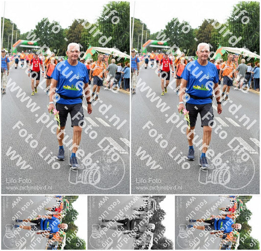 Evenement foto: Nijmeegse Vierdaagse 713