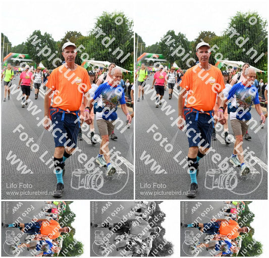 Evenement foto: Nijmeegse Vierdaagse 713