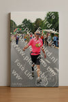 Evenement foto: Nijmeegse Vierdaagse 713