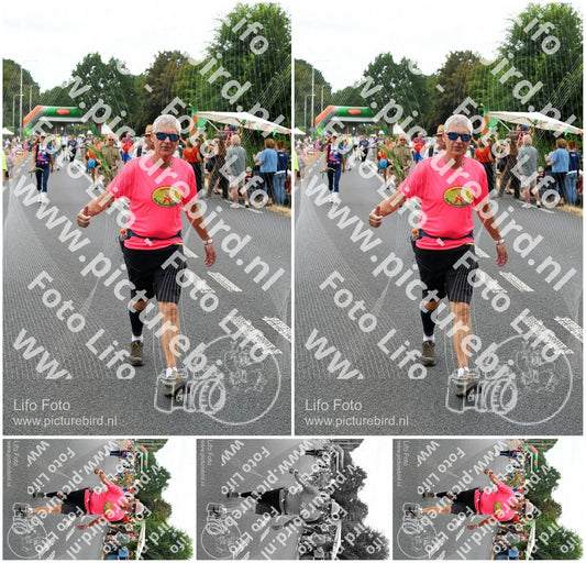 Evenement foto: Nijmeegse Vierdaagse 713
