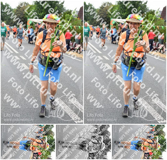 Evenement foto: Nijmeegse Vierdaagse 713