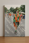 Evenement foto: Nijmeegse Vierdaagse 713