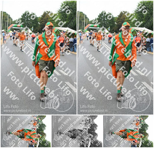 Evenement foto: Nijmeegse Vierdaagse 713