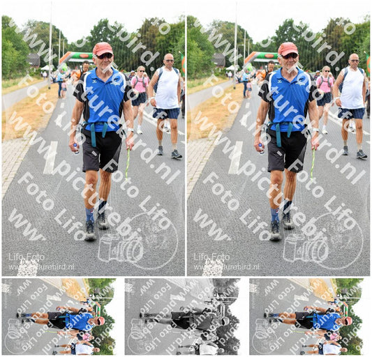 Evenement foto: Nijmeegse Vierdaagse 713