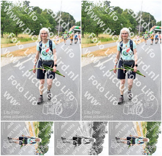 Evenement foto: Nijmeegse Vierdaagse 712