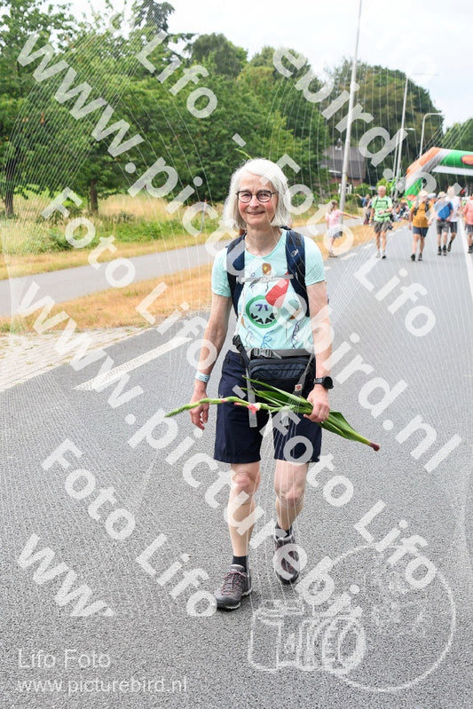Evenement foto: Nijmeegse Vierdaagse 712