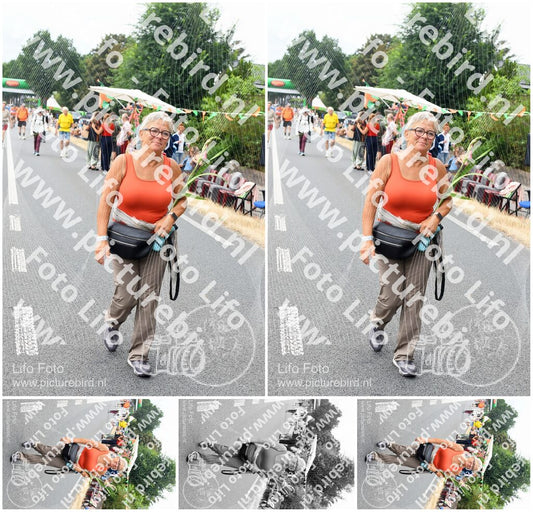 Evenement foto: Nijmeegse Vierdaagse 712