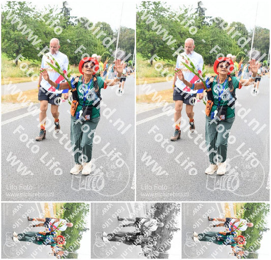 Evenement foto: Nijmeegse Vierdaagse 712